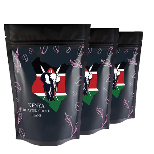 Perfetto Kenya AA Bungoma Mayekwe Arabica Roasted Beans
