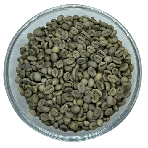 Robusta Parchment AB