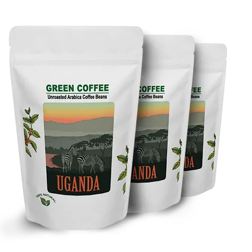 Perfetto Uganda Ngoma Robusta Green Beans