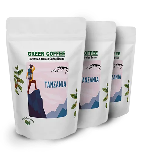 Perfetto Tanzania Kilimanjaro Plantation AA North - Arabica Green Beans